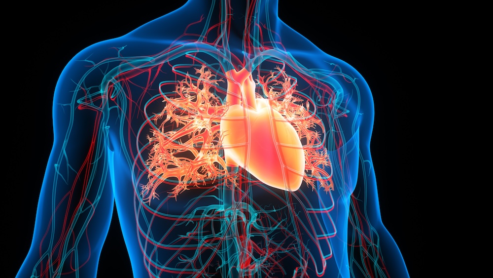 Cardiac Biomarkers Don’t Predict Outcomes of Valve Replacements